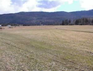 9.87 Acres in Cherryville