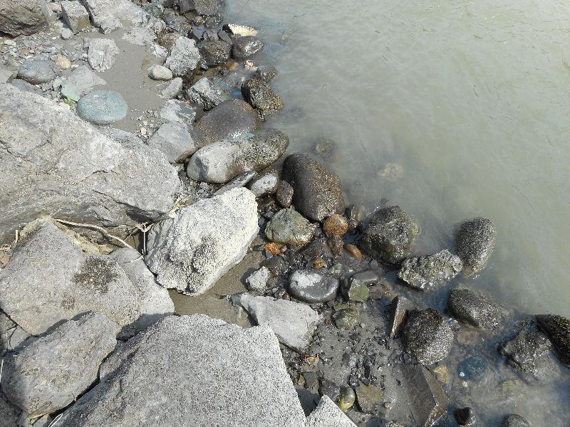 Placer gold claim on Fraser river by Lillooet