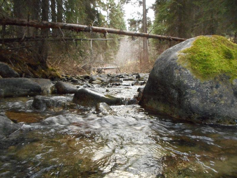 Placer claim on the Whipsaw Creek by Princeton