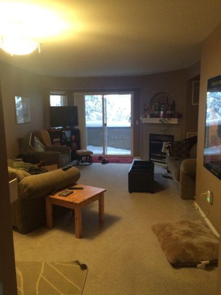1-2 rooms for rent starting May 1