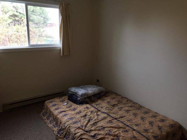 Looking for Roommate from March First at Arrowstone Dr