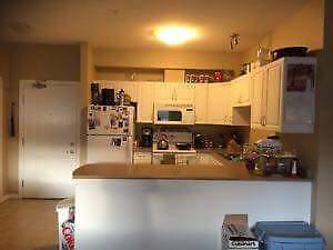 Looking for roommate to share 2 bdrm, 2 bath Rutland apartment