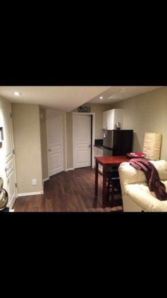 Basement Level for Rent! EVERYTHING Included! Available March 1!