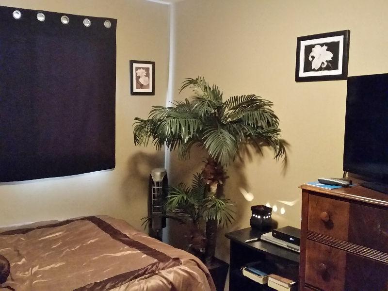 fully furnished room for rent in Innisfail