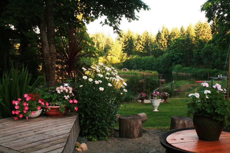 Country Living at Yoga Sanctuary: Suite