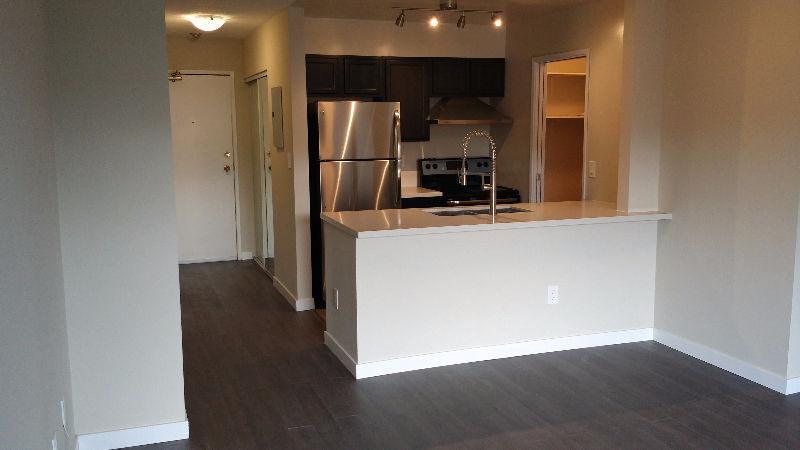 Open Kitchen and Stainless Steel Appliances - Mar 1