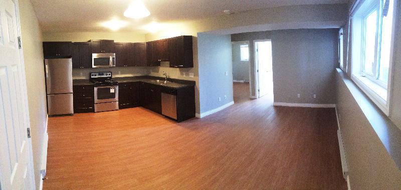 Gorgeous New 2 Bed with Parking, 800 sq ft, Available Mar 1st
