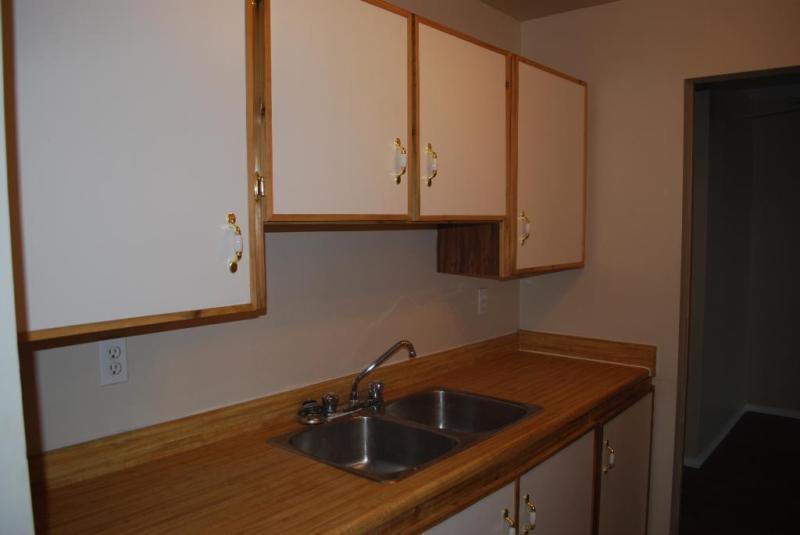 Spacious & Well Lit 2 Bedroom Suite Downtown - $895!