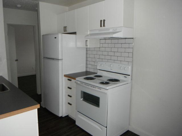 2 Bedroom renovated apartment