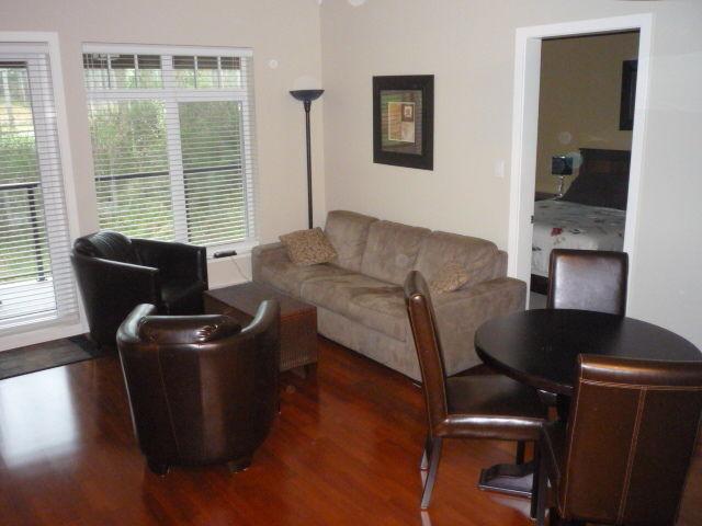 FURNISHED Two Bedroom Condo- Small Pet Considered- Bear Mtn