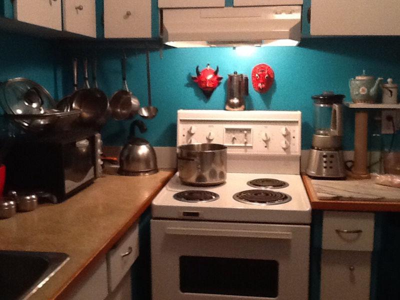 Uniquely furnished waterfront apartment for sublet Mar 1-May 31