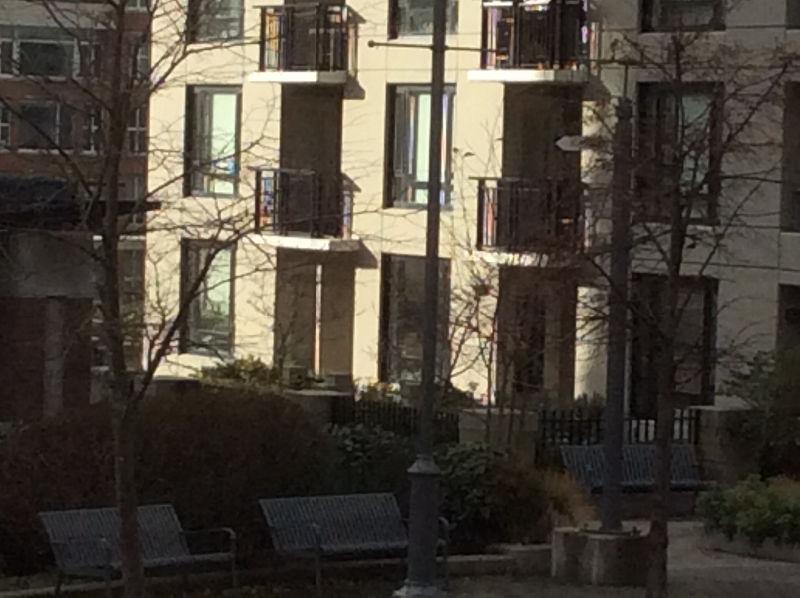GARDEN STUDIO AVAILABLE MAR1st DOWNTOWN