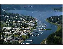 WATERFRONT INVESTMENT PROPERTY in Sicamous