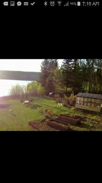 2 bdrm House on 2.5 acres Lakefront