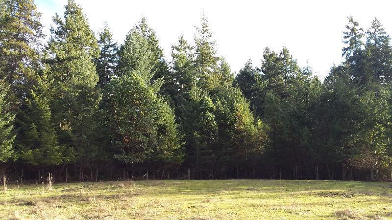 Home and Acreage in Nanoose Bay