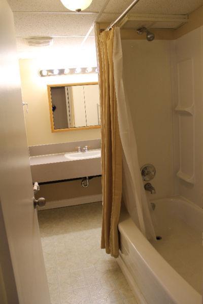 Clean and Bright Basement Suite Available Immediately
