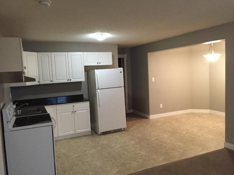 Basement suite for rent