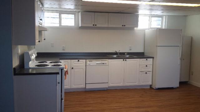 Large and Very Clean Suite - Available June 1st