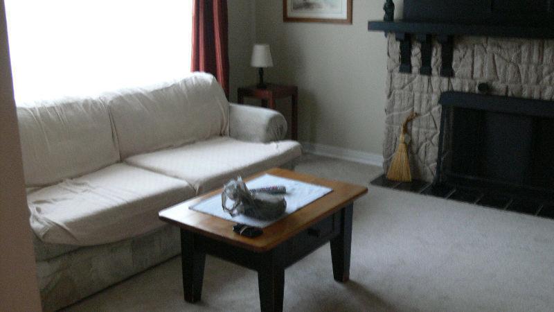 Fully Furnished Everything Included - nice, clean place