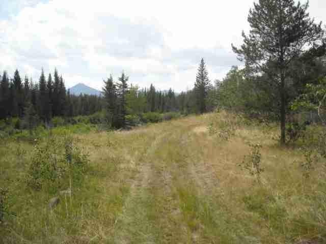 320 Acres in Central Beautiful
