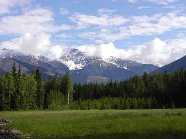 Golden B.C. 5 acre parcels-Stunning View in Blaeberry Valley