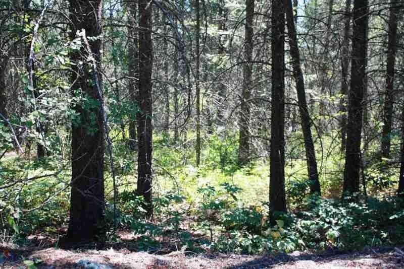LOT FOR SALE - 10586 Pinecrest Rd,