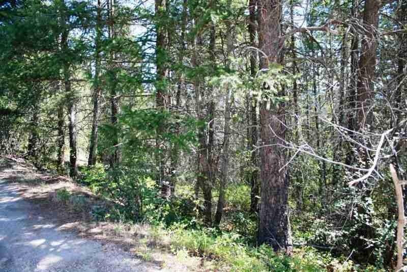 LOT FOR SALE - 10586 Pinecrest Rd,