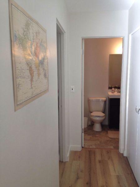 Awesome furnished room in downtown 2 bedroom apt