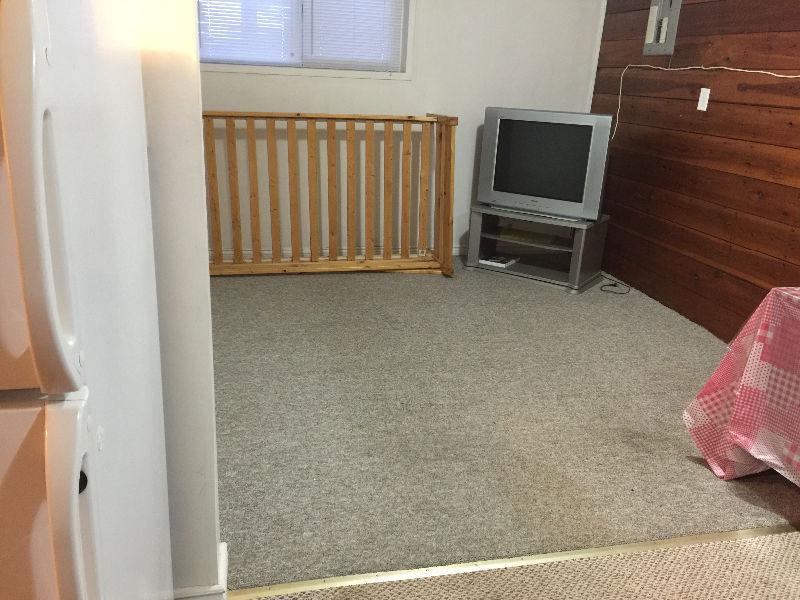 Looking for roommate (female)----Mar 1st