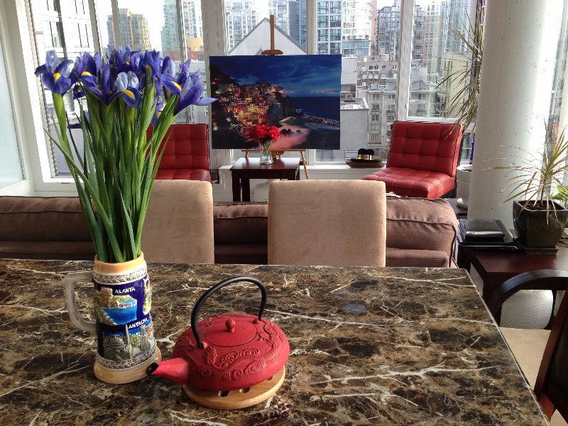 Beautiful Downtown View Den/Solarium for Feb 1st