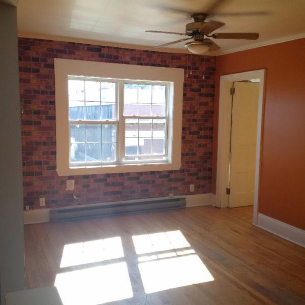 Downtown apartment for Rent Immediatly