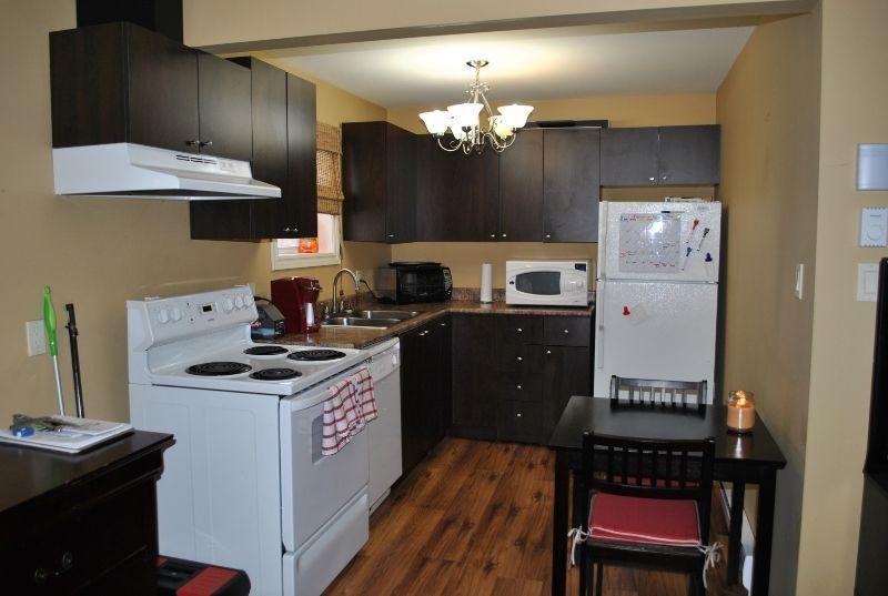 Renovated 1 Bedroom Apartment Downtown  (HEAT & LIGHTS IN