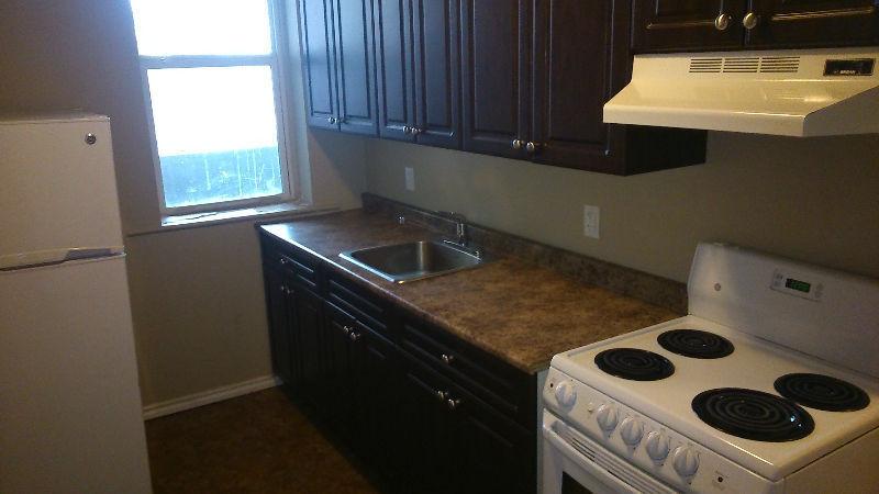 April 1st-Clean & Renovated 1bdrm Apt,Includes Water, (Near HSC)