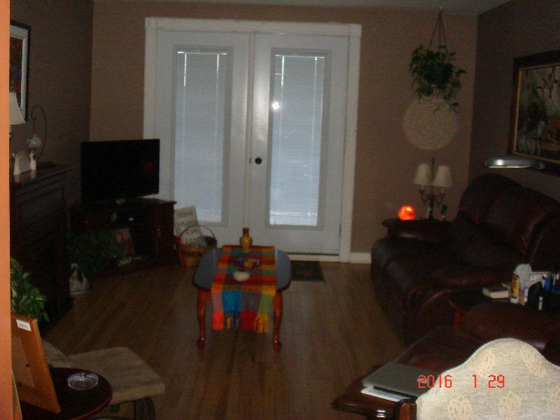 PRICE REDUCED - Downtown  (Adult)