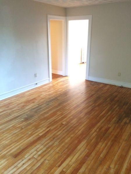 2 Bedroom Extra Large Downtown (Open Now) - Dog & Cat Friendly