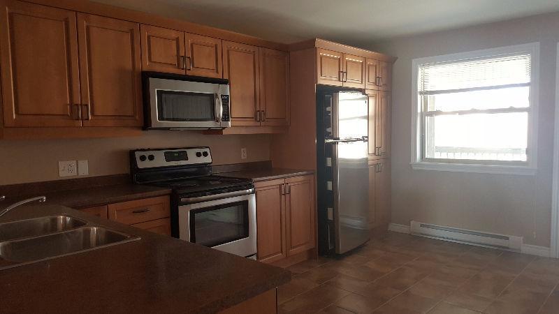large 2 bedroom apartment