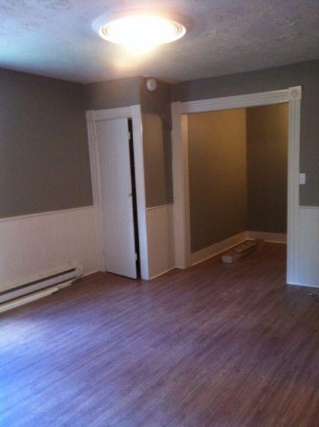 Newly renovated two bedroom apt