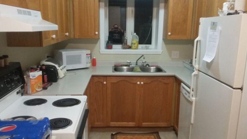 Roommate Wanted (Woodstock, NB)