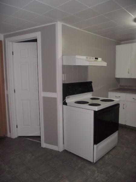 RENOVATED 2 bdrm 5 minute walk to NBCC, grocery store and more
