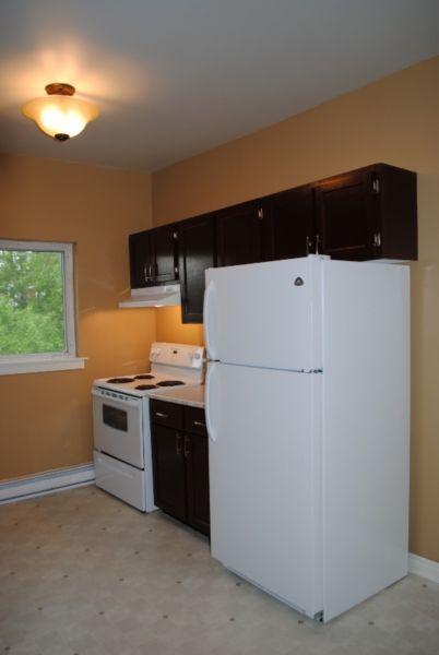 Renovated 2 Bedroom Apartment Downtown  (HEAT & LIGHTS IN