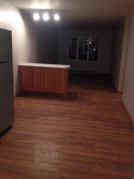 THIS MONTH FREE!!!!! gorgeous condo style 2 bedroom apartment