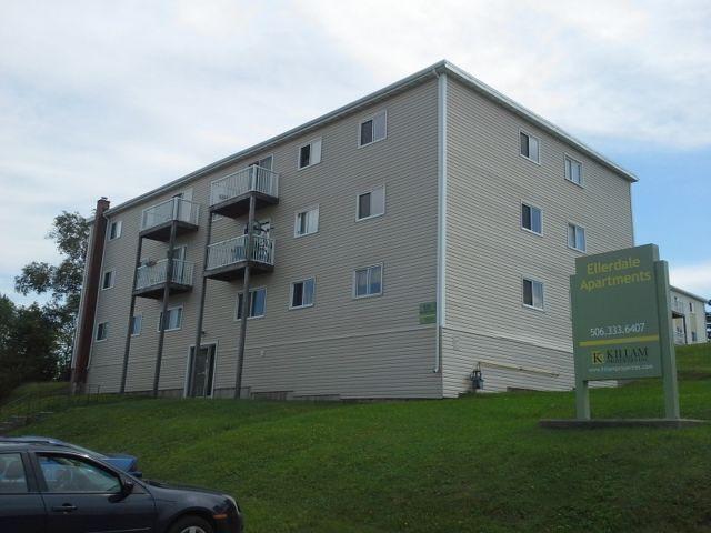 $99 MOVE IN ! 2 Bdrm, Near Mall, 531 Ellerdale, Heat/Lights $745