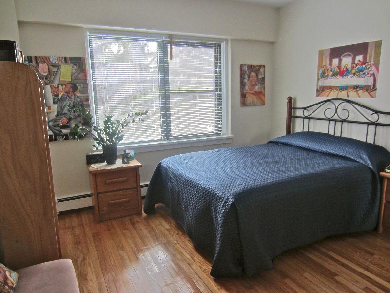 Beautiful, all newly renovated apt. Available Mar 1st/Apr. 1st