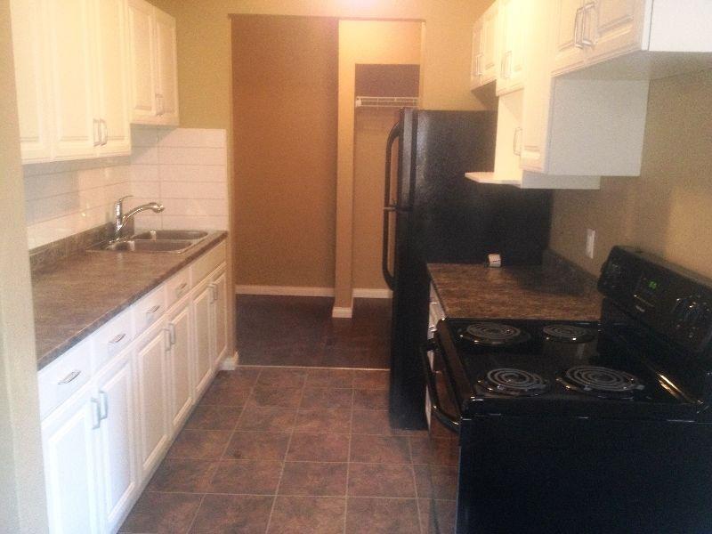 Newly Renovated - 2BR HALF PRICE RENT FEB AND MARCH