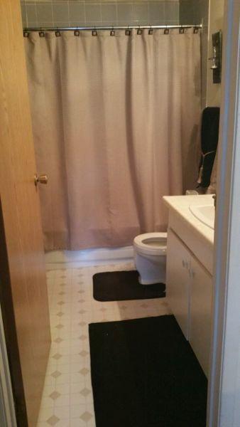 Roomy 2 bedroom, 2 bath apartment for sublet June 1st