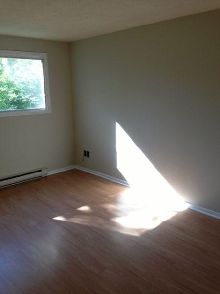 FREE WIFI!! - 3 BEDROOM - MAY 1ST - CLOSE TO CAMPUS - SAUNA