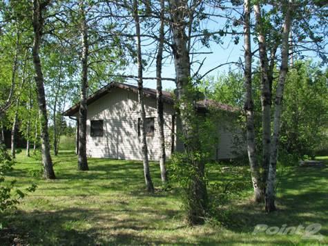 Homes for Sale in Ditch Lake, Minnedosa,  $99,000