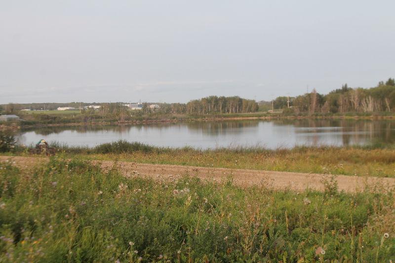Lakeview lot in Roblin,  in Asessippi Parkland