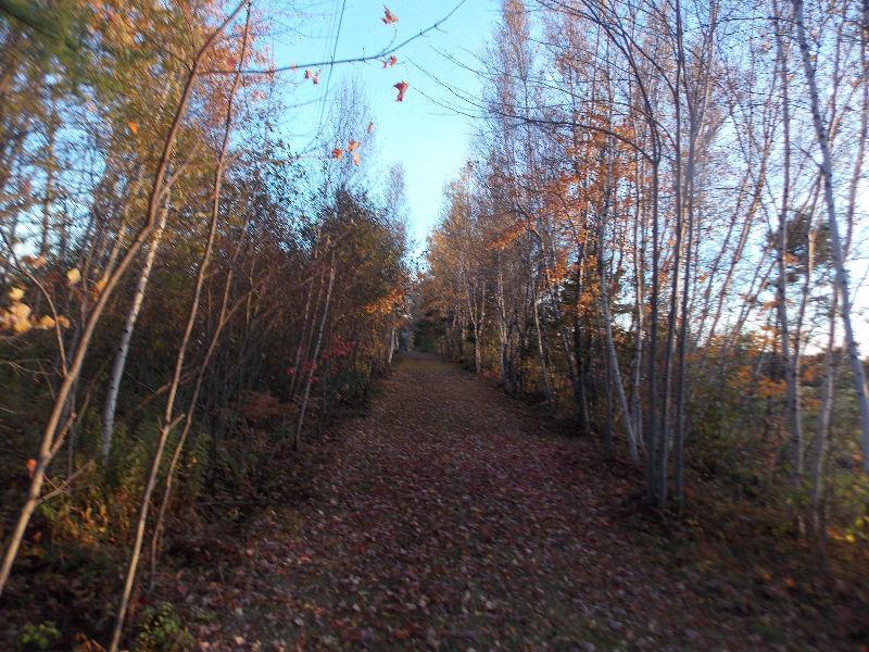 WATERVIEW LOT for UNDER $50K - Blackville, NB