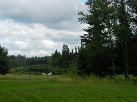 20-ACRE PROPERTY ON SALMON RIVER EAST OF CHIPMAN, NB FOR SALE